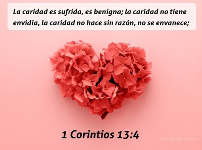 1 Corintios 13:4 Amor (beige)